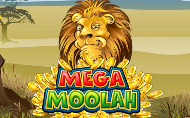 Play the legendary Mega Moolah slot offering multi-tiered progressive prizes.