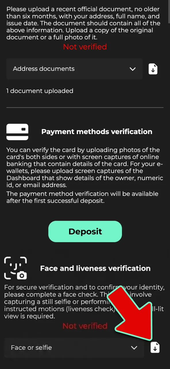 Complete a quick selfie or liveness check to match your ID at Admiral Shark.