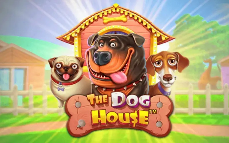 Experience high-volatility gameplay with multiplier multipliers in The Dog House slot by Pragmatic Play at Admiral Shark.